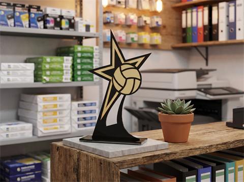 Troféu em acrílico, em balcão de loja